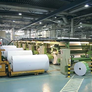 Paper Mills Industries